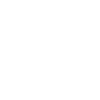 CarChem logo
